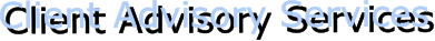 Client Advisory Services